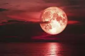 lua morango copy