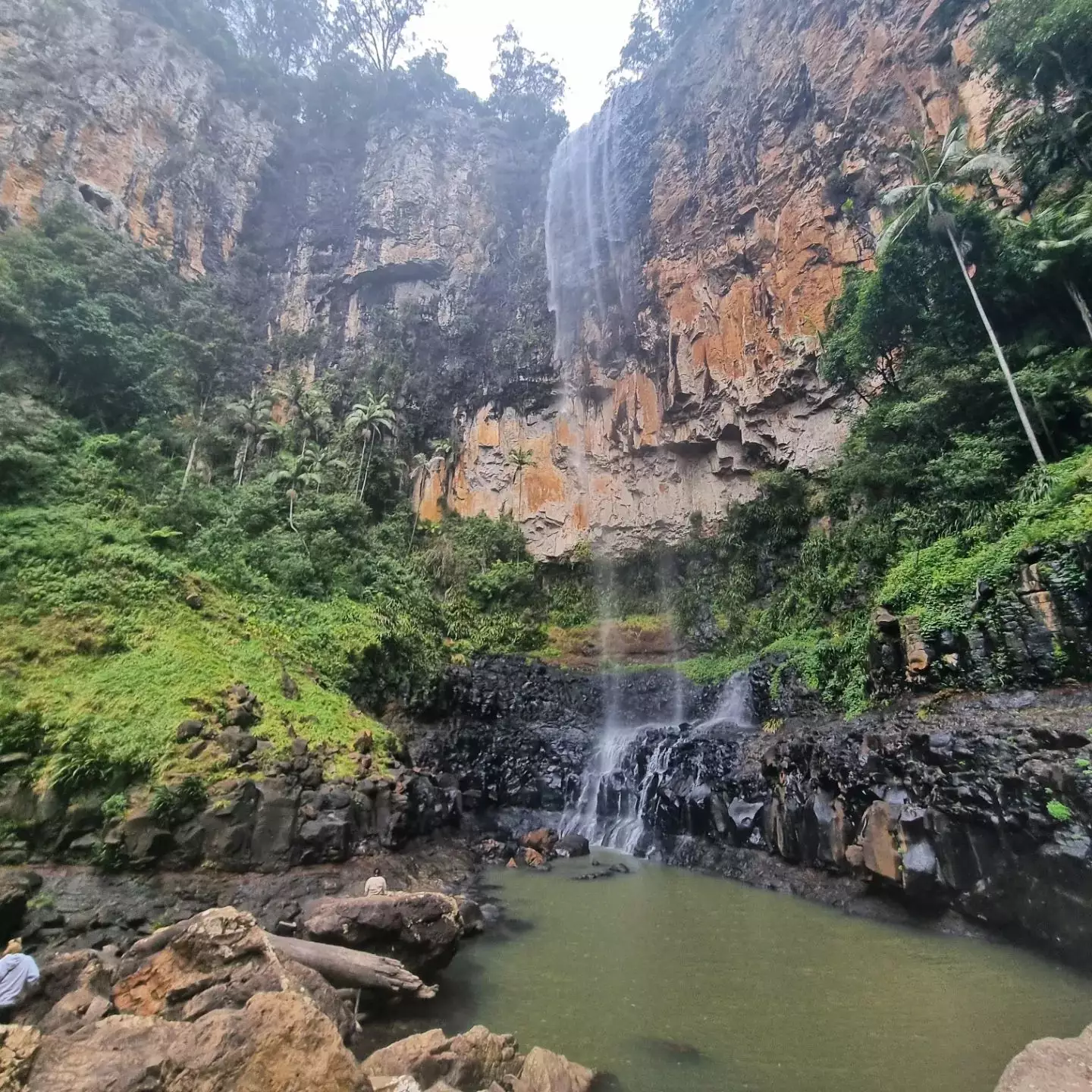 Springbrook National Park - Indicações 1 Springbrook National Park,