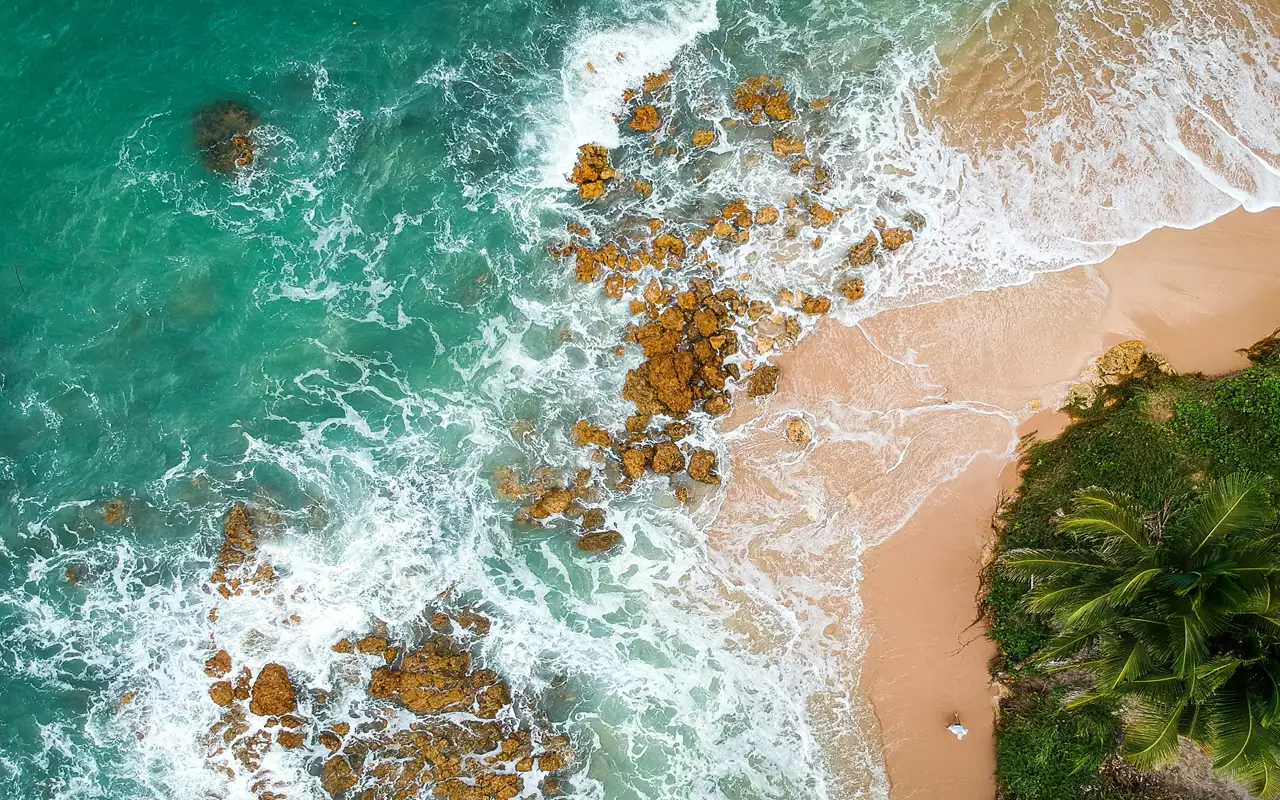 Descubra as 3 Praias Imperdíveis do Nordeste Brasileiro: Paraísos Tropicais que Você Precisa Conhecer 1 Foto: thiago japyassu