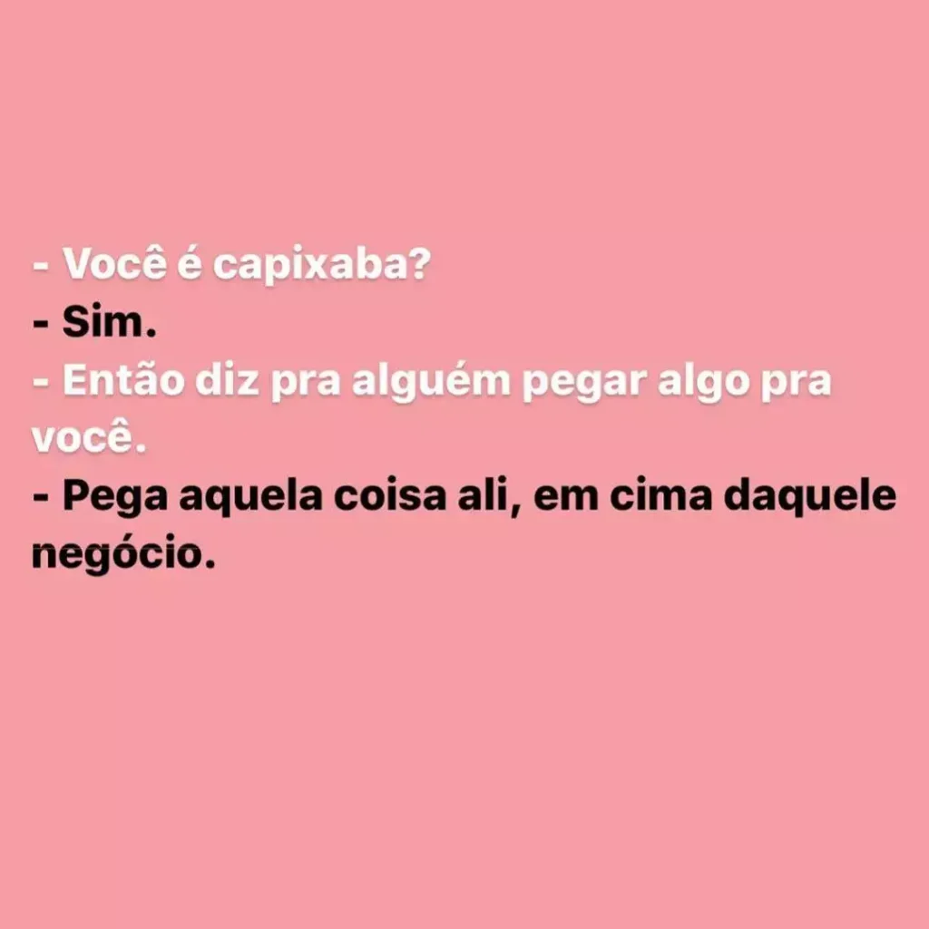 Dicionário Básico Capixabês