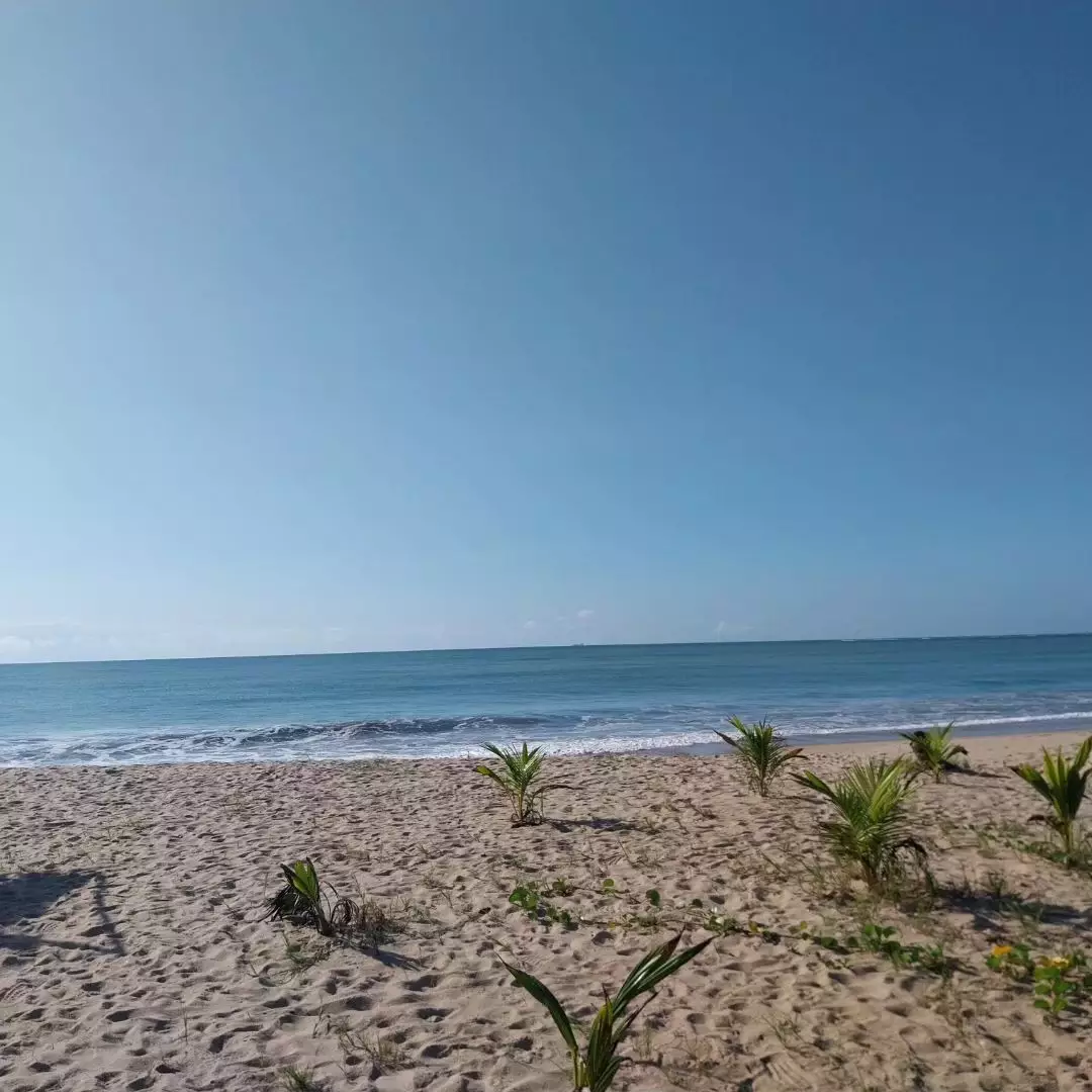 praia de maracaipe 1
