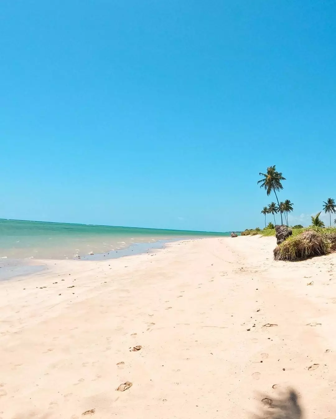 Descubra as Praias do Nordeste com Bandeira Azul 1 praia do patacho
