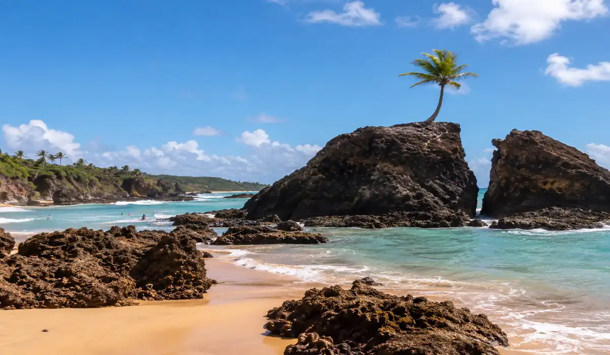Praia de Tambaba