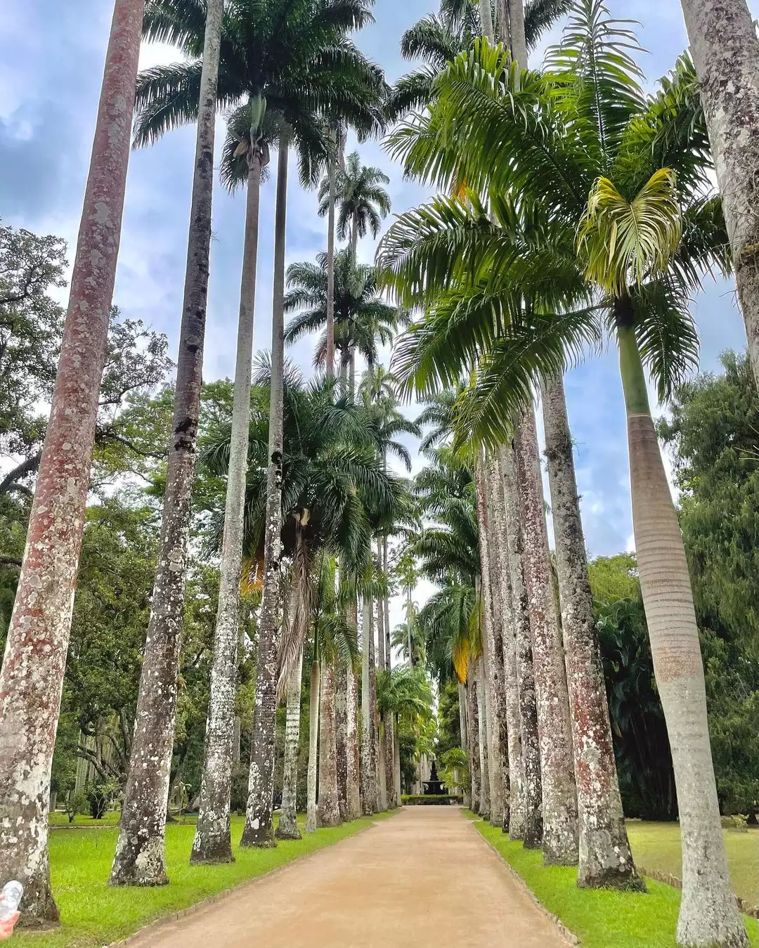 jardim botanico do rio de janeiro 1