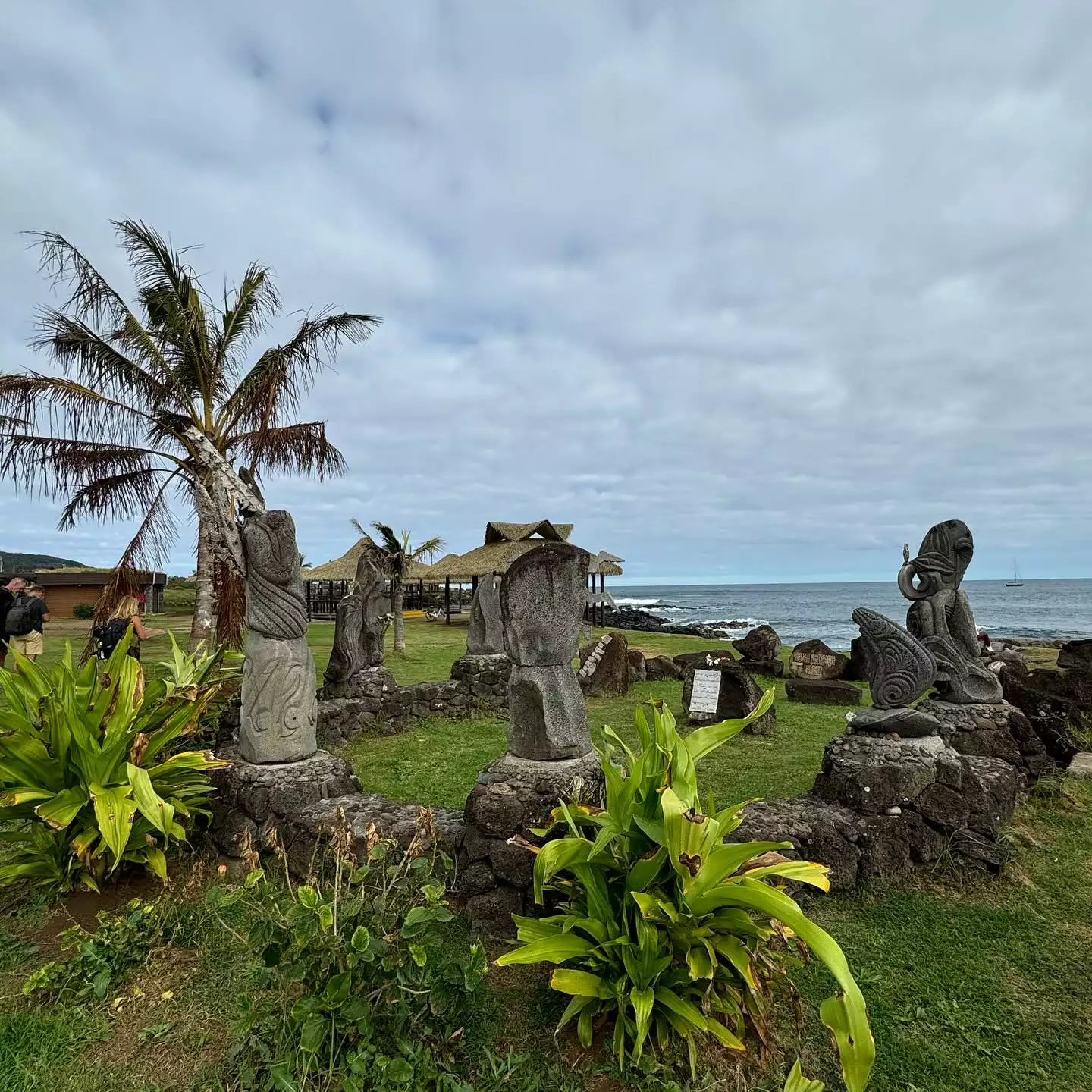 rapa nui