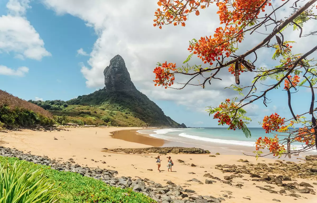 Veja: As 15 Melhores Fotos de Fernando de Noronha em 2024 1 Fernando de Noronha