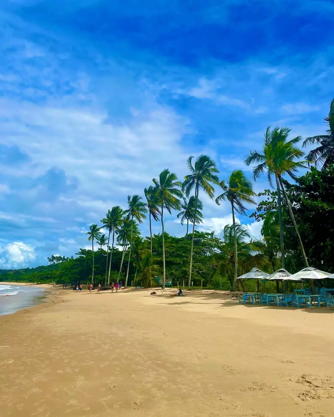 praia dos coqueiros