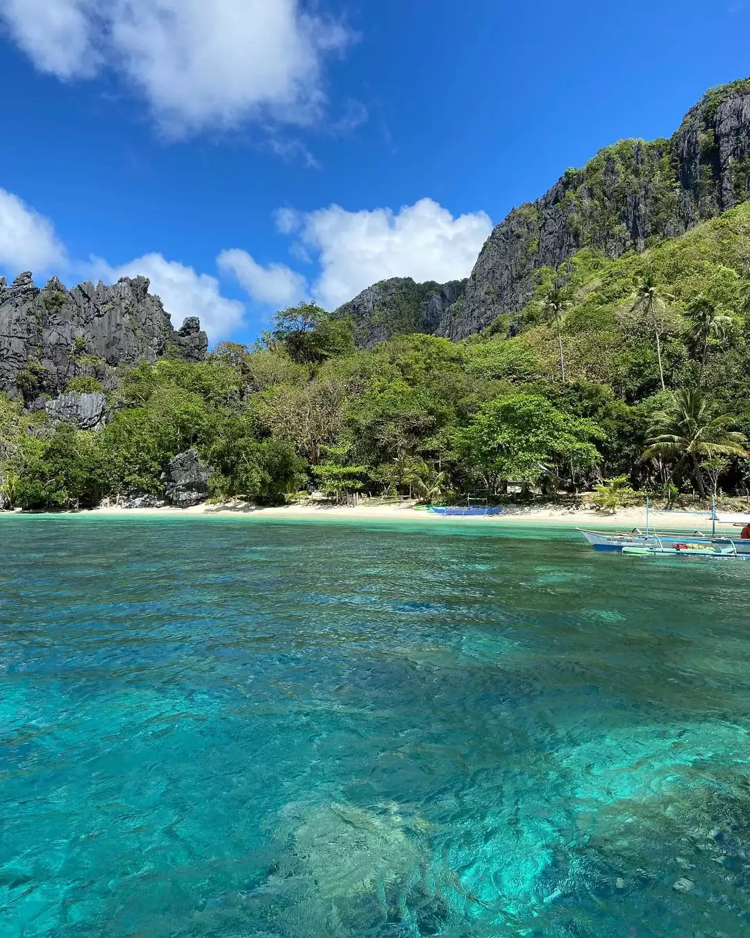 el nido