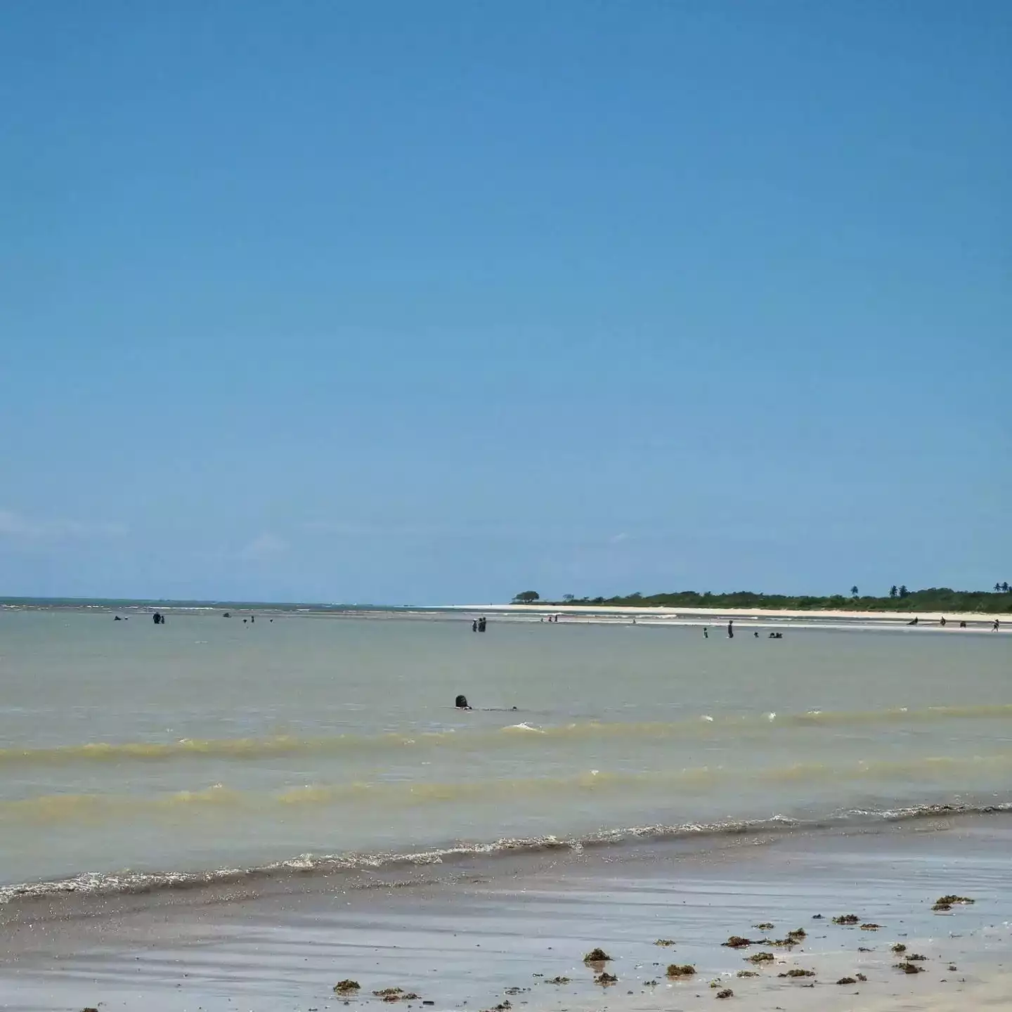 Praia de Paripueira