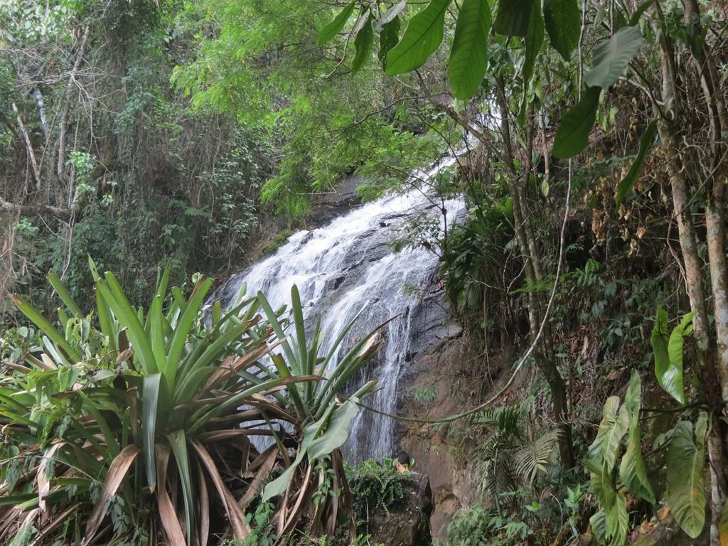 Cachoeira do Quintino 6