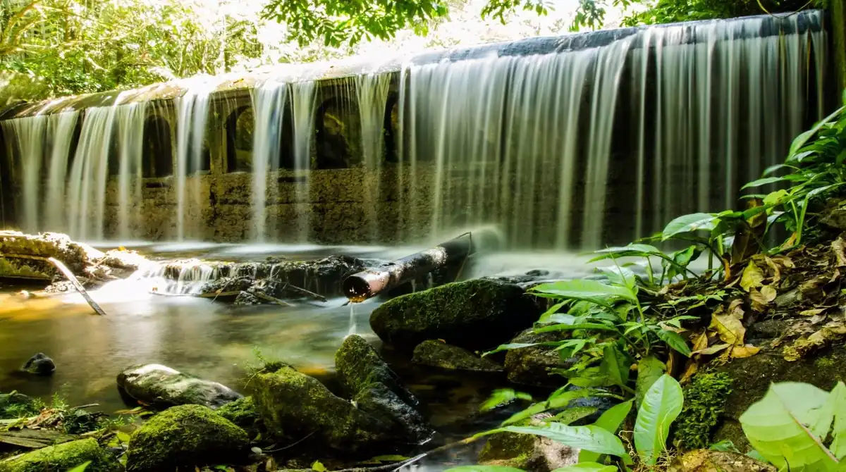 Vista da represa antiga cercada por floresta na Reserva Biológica de Duas Bocas, em Cariacica.