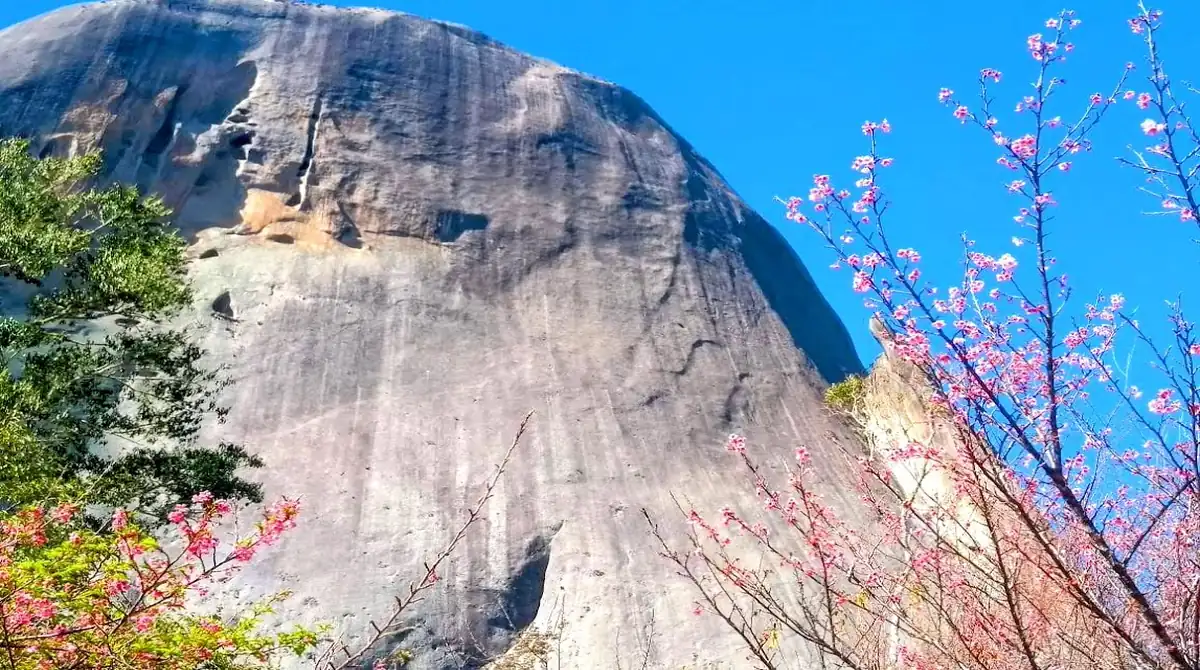 Vista panorâmica da Pedra Azul e da estrada turística Rota do Lagarto cercada por hortênsias em Domingos Martins.