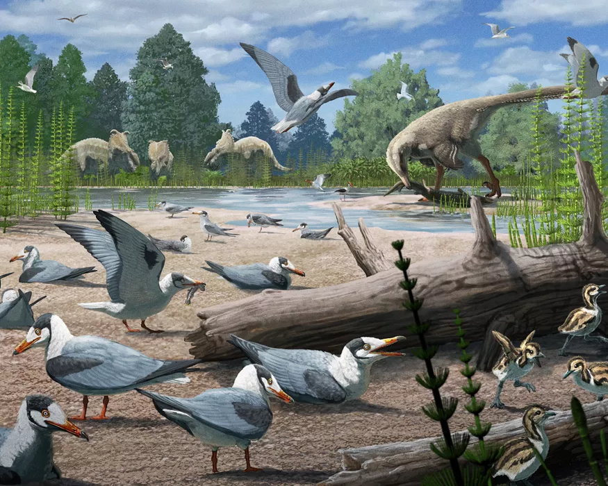 Fósseis revelam que pássaros nidificavam no Ártico na era dos dinossauros