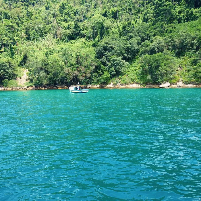 Ilha do Algodão