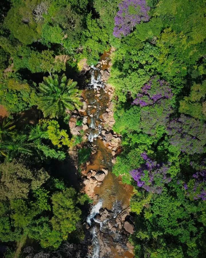 Pedra Menina: Natureza, Café Especial e Aventura aos Pés do Parque Nacional do Caparaó 5 Pedra Menina