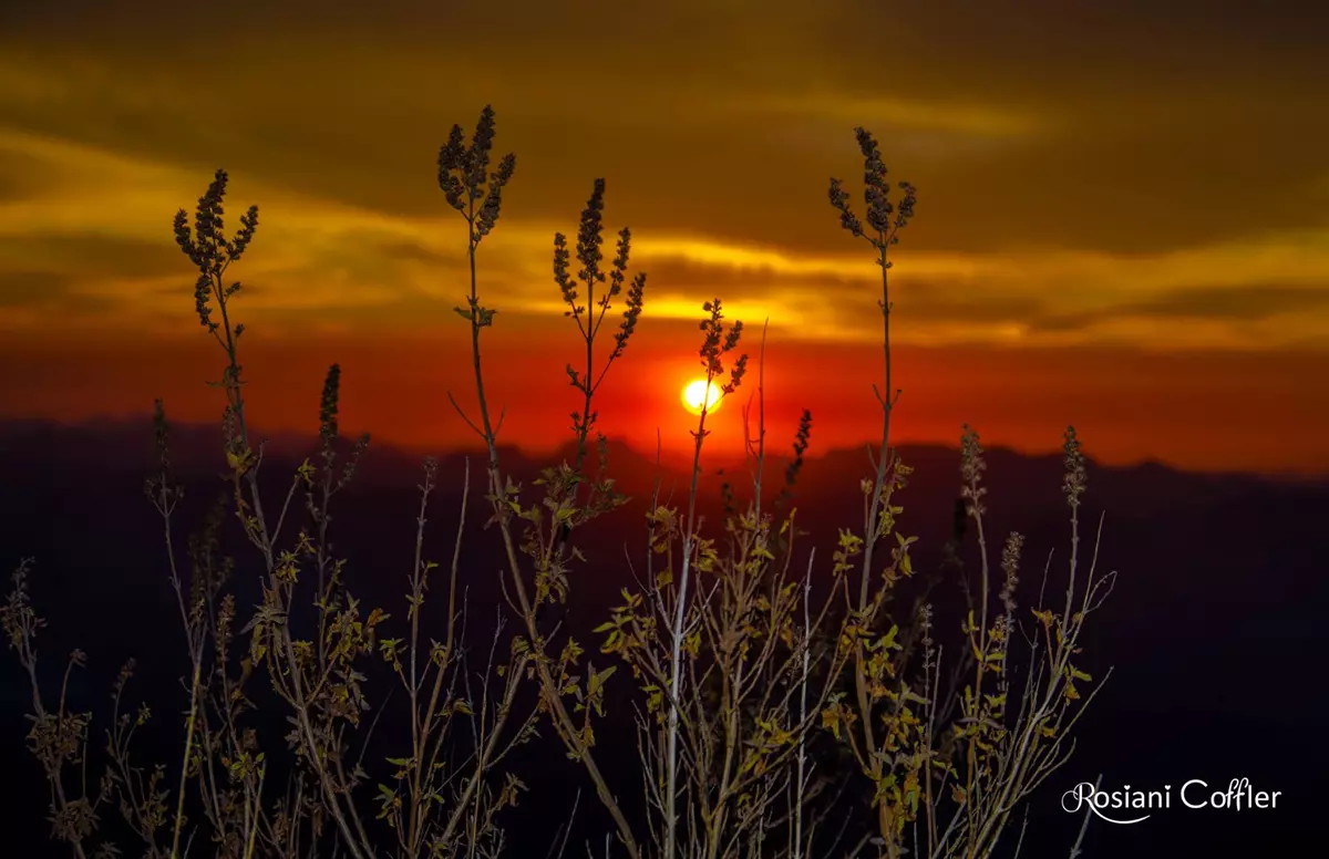 Pôr do sol no Pico da Bandeira, Caparaó 
trilhas no Espírito Santo