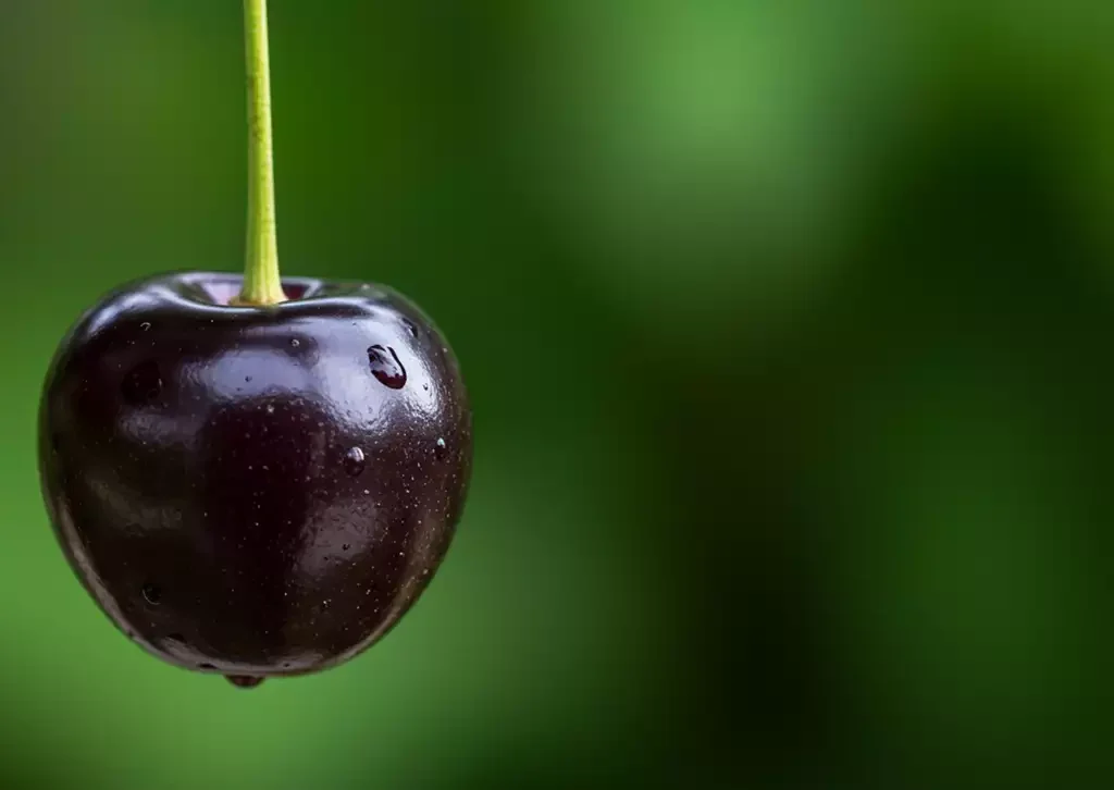 frutas típicas dos Estados Unidos 