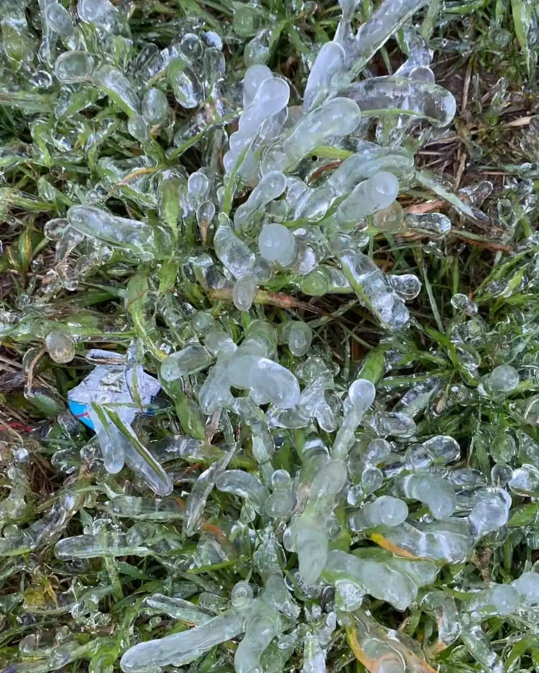 Cachoeira Congelada no Caparaó Inverno Surpreendente no ES