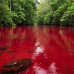 Rio Vermelho em Presidente Figueiredo