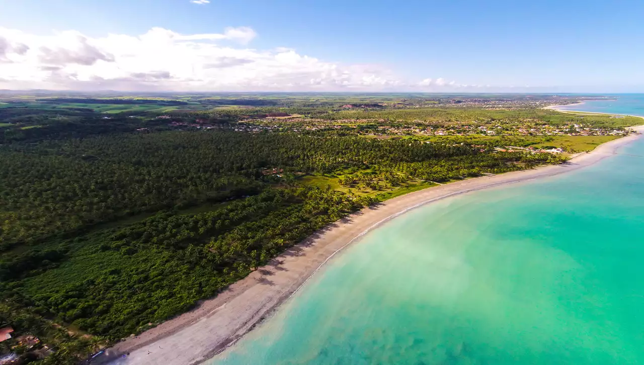 Ipioca em Alagoas