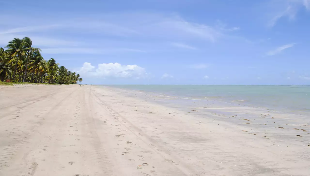 Praia do Patacho – Porto de Pedras, AL
