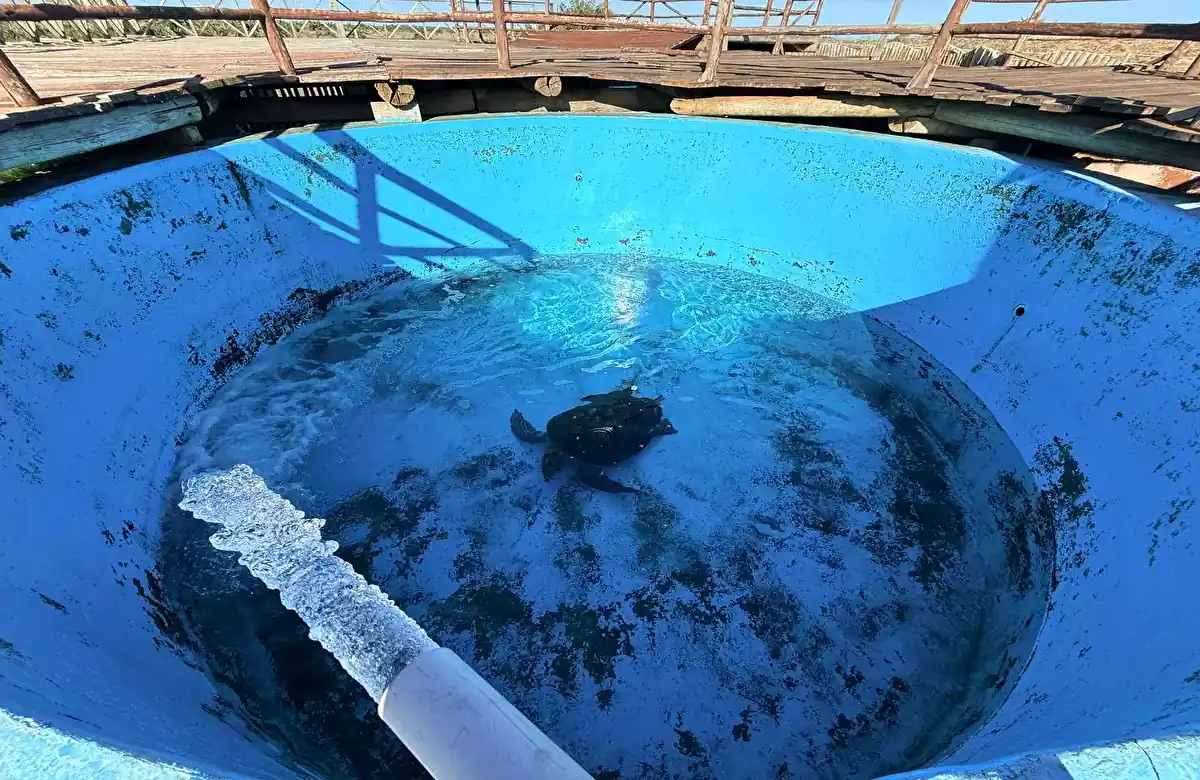 Abandono no Tamar de Regência: turistas denunciam estrutura em ruínas REBIO de Comboios