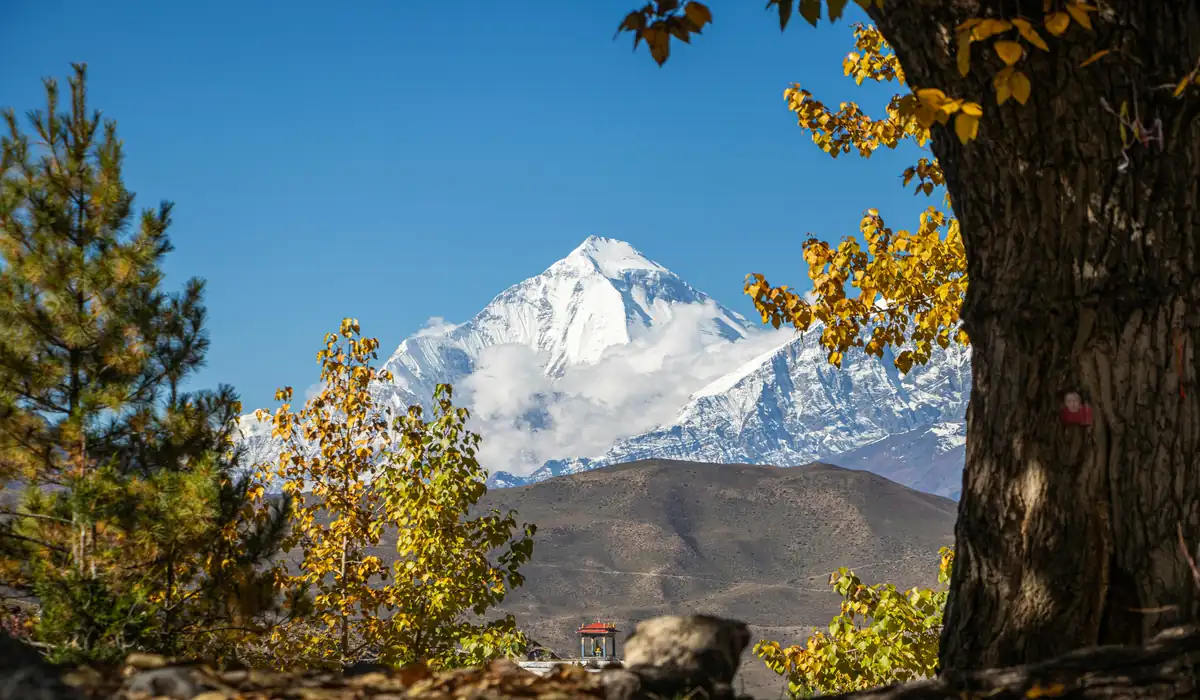 Monte Everest: O Lado Sombrio da "Zona da Morte 2 Monte Everest