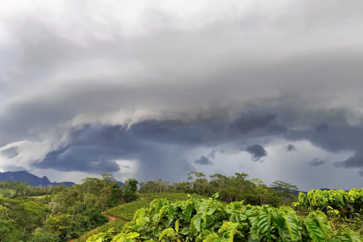 Susto no céu: Nuvem gigante "engole" cidade no ES e Inmet emite alerta vermelho 1 Nuvem Prateleira (Shelf Cloud) escura e gigante sobre a vegetação em Afonso Cláudio, Espírito Santo, sinalizando temporal.