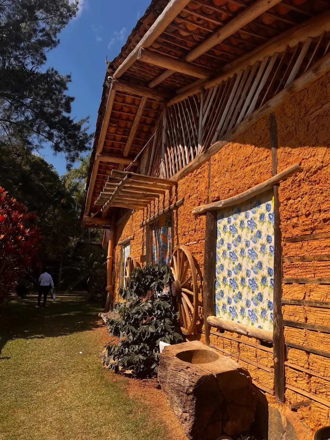 Sítio Toinzé em Iúna com área verde e turismo rural no Caparaó