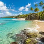 Conheça as 45 melhores praias no Brasil, com dicas de localização, como chegar, infraestrutura, melhor perfil de viagem e cuidados para visitar cada destino.
